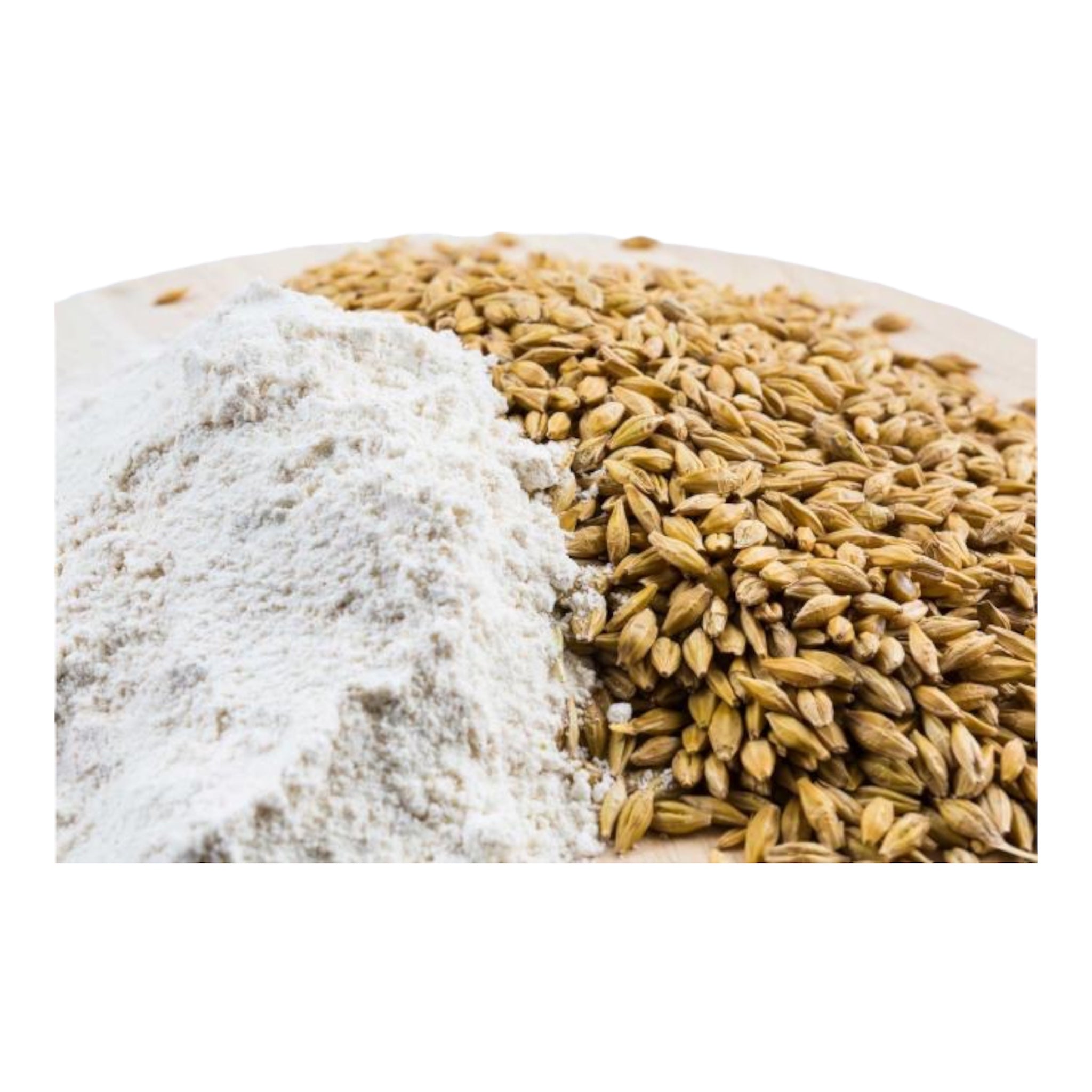 Gerstenmehl 5 kg | Barley Flour 5 kg  | ሓርጭ ስገም 5 ኪ.ግ