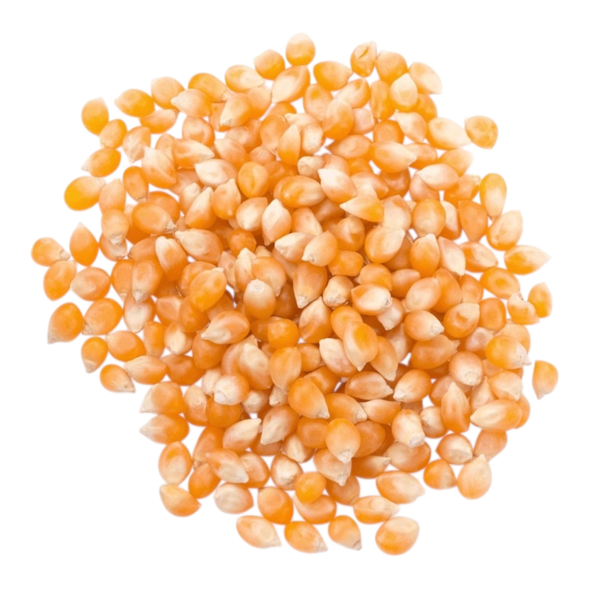 Popcornmais 1 kg (ፋንድሻ 1ግ)