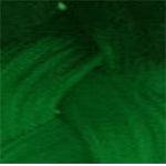 Dream Hair Braids Exception 4x Pre Stretched 100% Kunsthaar 4 pcs, 170g