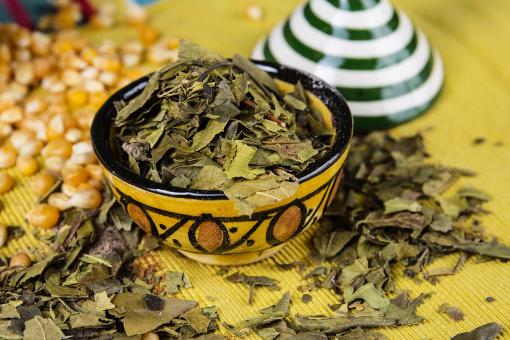 Geshoblätter (ቆጽሊ ጌሶ)