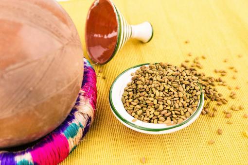 Fenugreek seeds / Abish / አብሽ
